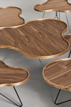 Swedese Coffee Tables*Flower mono table Special Edition 107x114 cm, H39 cm-lacquered walnut-black lacquered steel Brown