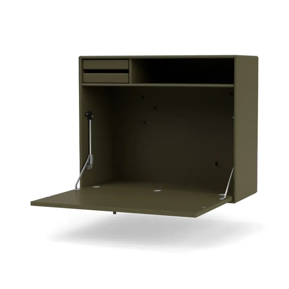 Montana Desks*STUDIO desk, wall hung, Oregano 139 Green