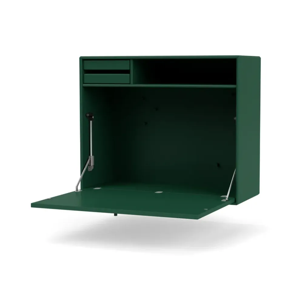 Montana Desks*STUDIO desk, wall hung, Pine 136 Green