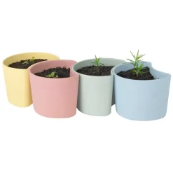 RIG-TIG Garden Details & Accessories*YOUR TREE pot with seeds, (Pine) Green